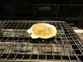 活さば問屋の写真_355113