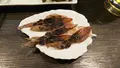 風の北前やの写真_355125