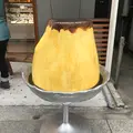 プリン専門店春夏秋冬 中町店の写真_355944