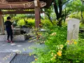 松尾大社の写真_356442