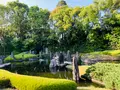 松尾大社の写真_356458