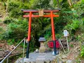 松尾大社の写真_356466