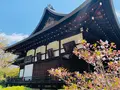 広隆寺の写真_356478