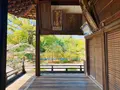 広隆寺の写真_356482
