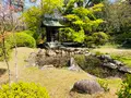 広隆寺の写真_356486