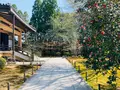 広隆寺の写真_356488