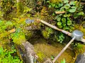 高山寺の写真_356552