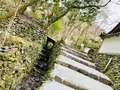 高山寺の写真_356554