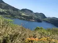 芦ノ湖の写真_356629