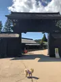 箱根関所の写真_356633