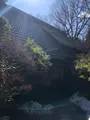 蕎仙坊の写真_356704