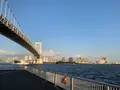 芝浦南埠頭公園の写真_356899