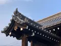 壬生寺の写真_357058