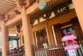 壬生寺の写真_357059