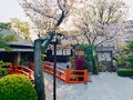 壬生寺の写真_357066