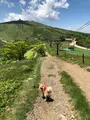 びわ湖バレイの写真_358148