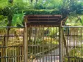 宝厳院の写真_358472