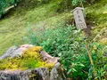 宝厳院の写真_358474