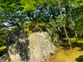 宝厳院の写真_358480