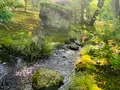 宝厳院の写真_358486