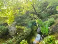 宝厳院の写真_358490
