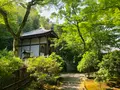 宝厳院の写真_358491