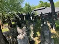 宝厳院の写真_358492