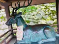 吉田神社の写真_358508