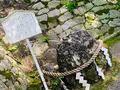 吉田神社の写真_358513