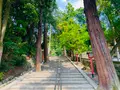 吉田神社の写真_358517