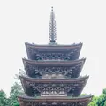 醍醐寺の写真_358521
