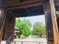 醍醐寺の写真_358528