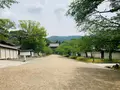醍醐寺の写真_358532
