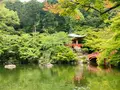 醍醐寺の写真_358539