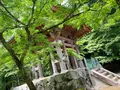 醍醐寺の写真_358549