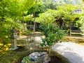 鹿王院の写真_358693