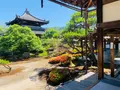 鹿王院の写真_358699