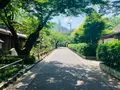 パンとエスプレッソと嵐山庭園の写真_358754
