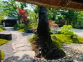 パンとエスプレッソと嵐山庭園の写真_358755