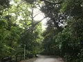 三ツ石海岸の写真_359399