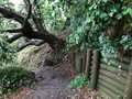 三ツ石海岸の写真_359404