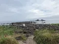 三ツ石海岸の写真_359405