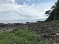 三ツ石海岸の写真_359406