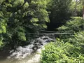 湯河原温泉の写真_359411