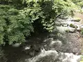 湯河原温泉の写真_359424
