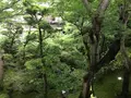 奥湯河原温泉 青巒荘（せいらんそう）の写真_359432