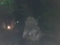 奥湯河原温泉 青巒荘（せいらんそう）の写真_359447