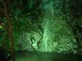 奥湯河原温泉 青巒荘（せいらんそう）の写真_359453