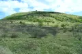 車山高原の写真_359547