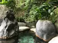 奥湯河原温泉 青巒荘（せいらんそう）の写真_359551
